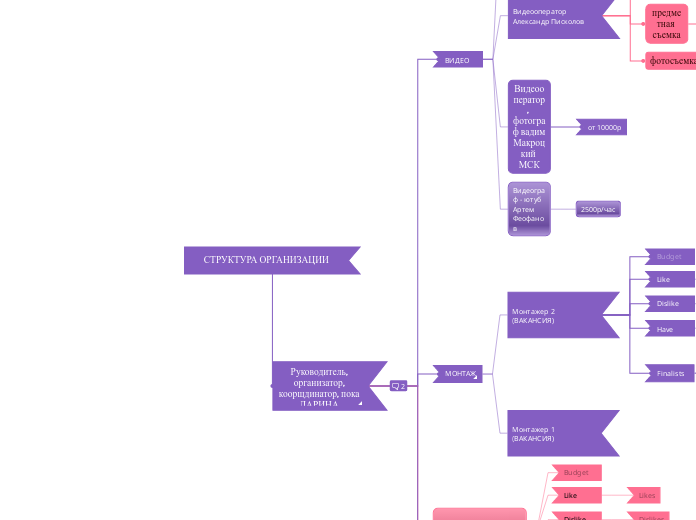 СТРУКТУРА ОРГАНИЗАЦИИ