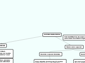 MAPA MENTAL ESTIMULACION OPORTUNA