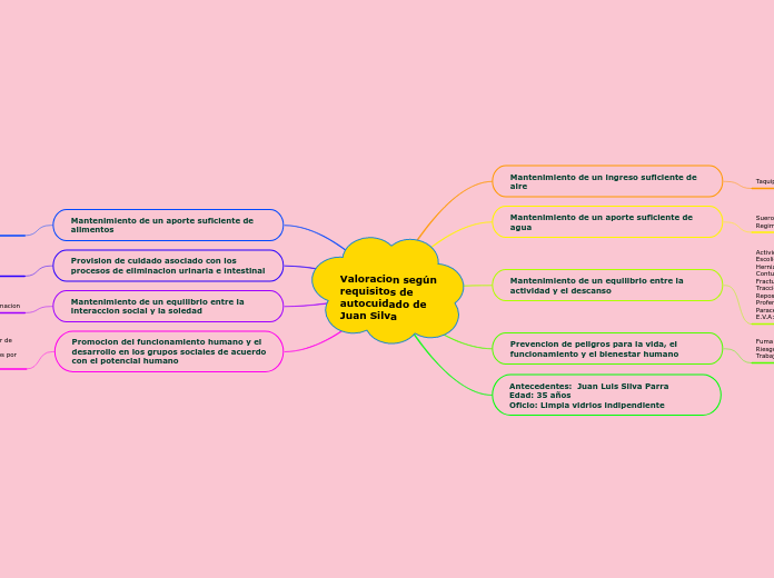 Valoracion según requisitos de autocuidado de Juan Silva