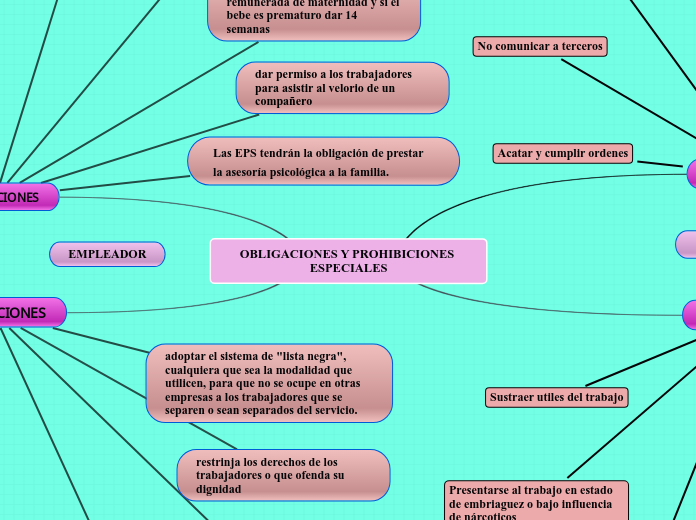 OBLIGACIONES Y PROHIBICIONES ESPECIALES