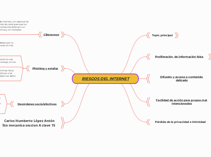 RIESGOS DEL INTERNET