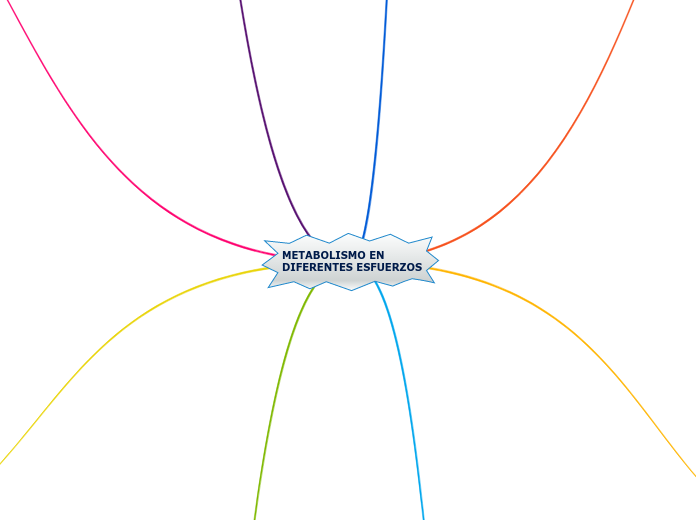 METABOLISMO EN DIFERENTES ESFUERZOS