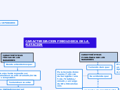 Caracterización fisiológica de la natación