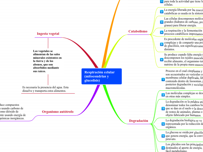 Respiración celular (mitocondrias y glucolisis)