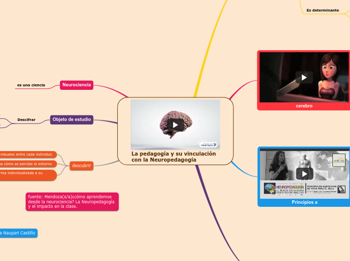 La pedagogía y su vinculación con la Neuropedagogía