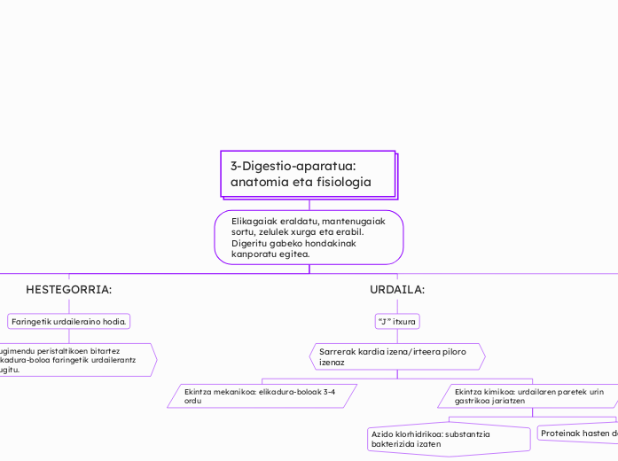 3-Digestio-aparatua: anatomia eta fisiologia