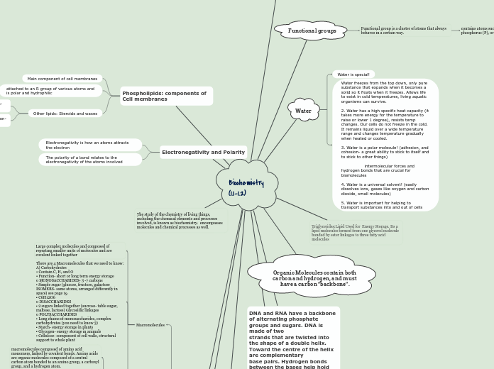 Biochemistry (1.1-1.2)