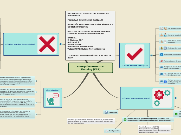 Enterprise Resource Planning (ERP)