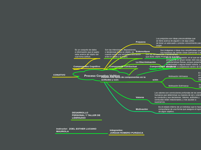 Proceso Conativo Volitivo