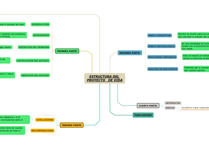 ESTRUCTURA DEL PROYECTO   DE VIDA