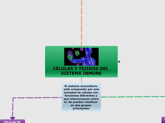 CÉLULAS Y TEJIDOS DEL SISTEMA INMUNE