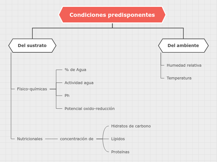 Organigrama arbol