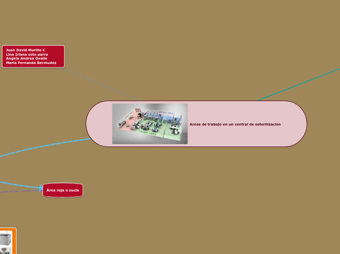 Areas de trabajo en un central de esterilizacion