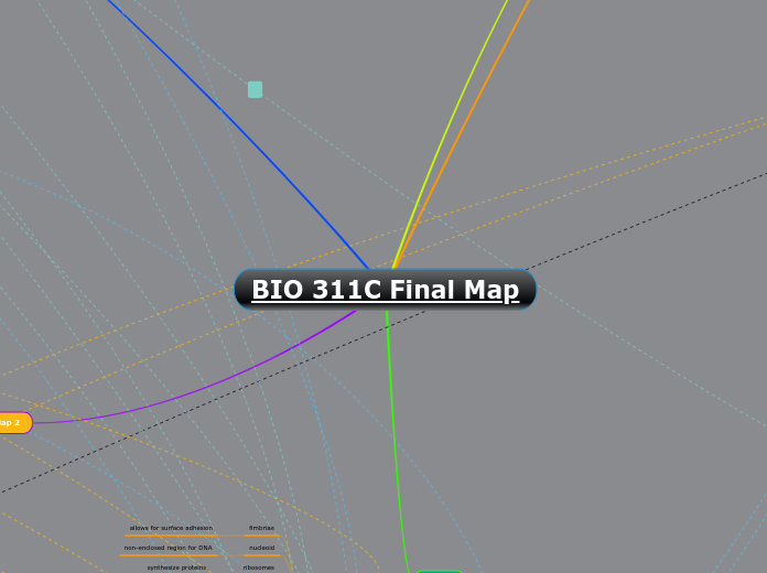 BIO 311C Final Map