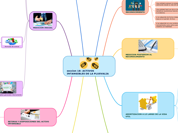 seccion 18- ACTIVOS INTANGIBLES DE LA PLUSVALIA