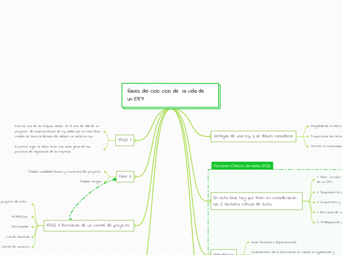 fases del ciclo ciclo de  la vida de  un ERP