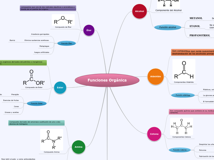 Funciones Orgánica