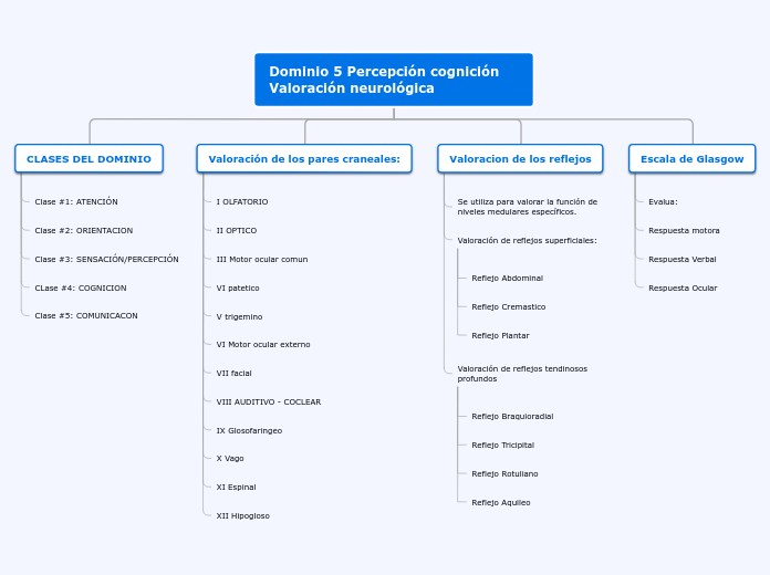 Dominio 5 Percepción cognición Valoración neurológica