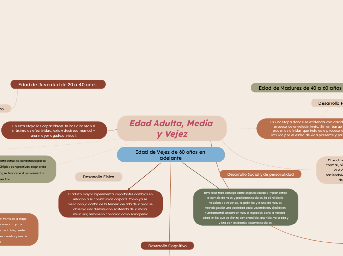 Edad Adulta, Media y Vejez