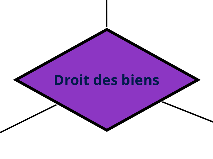 Droit des biens