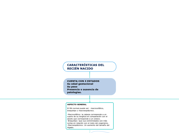 CARACTERÍSTICAS DEL RECIÉN NACIDO