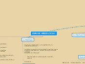 Foro de Medio Ciclo