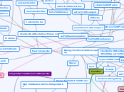 Biology 311C Concept Map