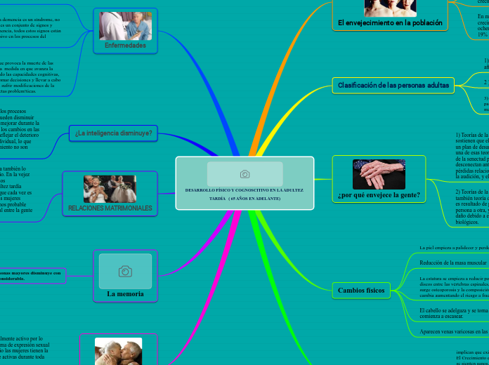 DESARROLLO FÍSICO Y COGNOSCITIVO EN LA ADULTEZ TARDÍA   ( 65 AÑOS EN ADELANTE)