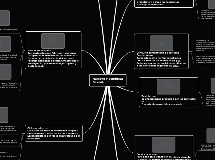 Hambre y conducta sexual