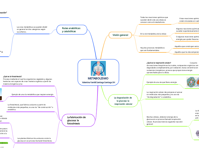 METABOLISMO 
Valentina Yamilé Santiago Santiago 3H