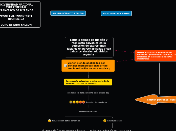 Organigrama arbol