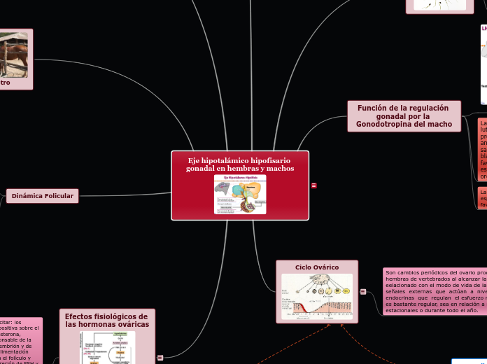 Eje hipotalámico hipofisario gonadal en hembras y machos