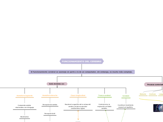 FUNCIONAMIENTO DEL CEREBRO
