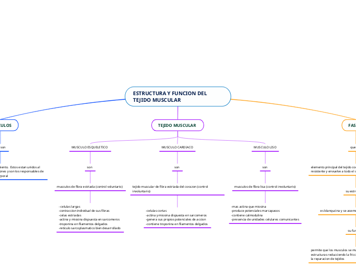 ESTRUCTURA Y FUNCION DEL TEJIDO MUSCULAR 