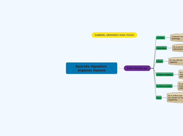 Aparato digestivo órganos huecos