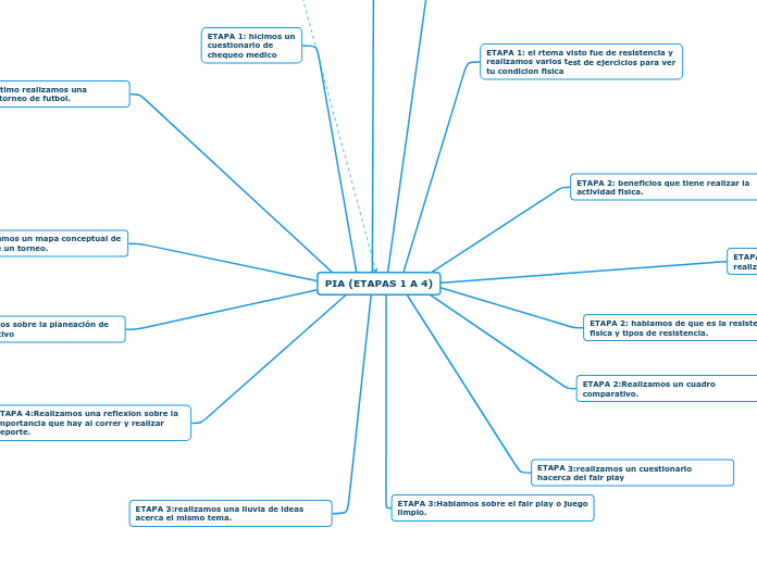 PIA (ETAPAS 1 A 4)