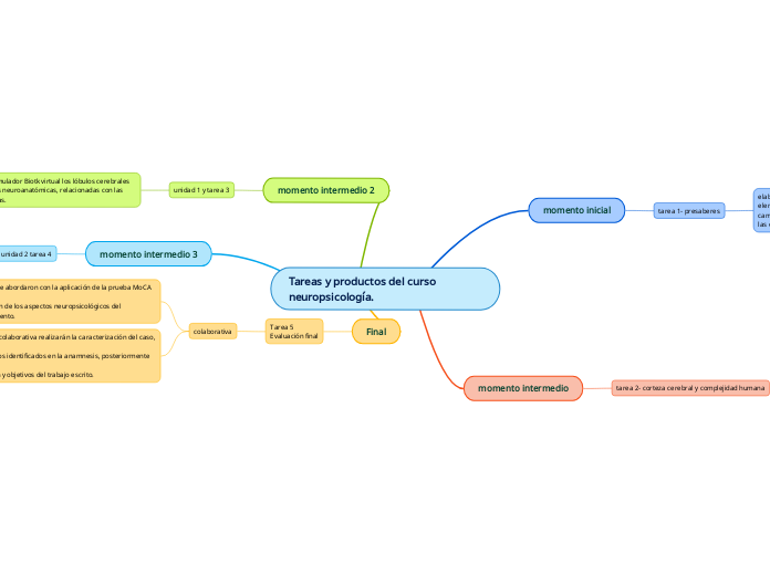 Tareas y productos del curso neuropsicología.