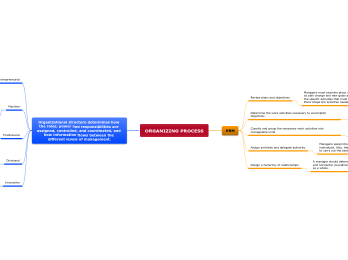 ORGANIZING PROCESS