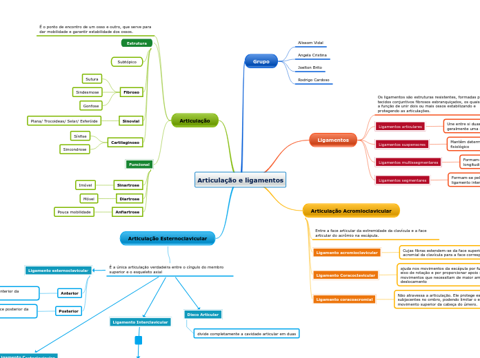 Articulação e ligamentos
