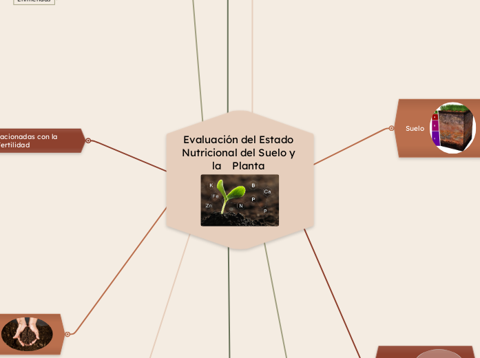 Evaluación del Estado Nutricional del Suelo y la Planta 