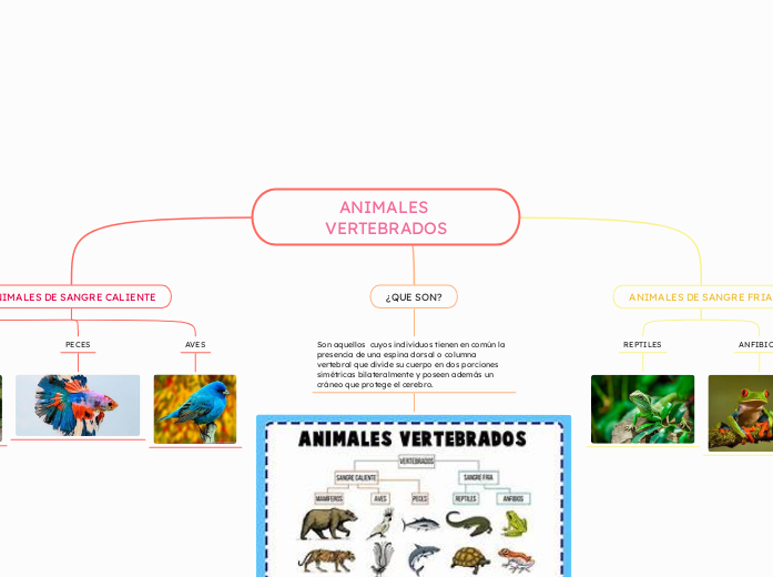 ANIMALES VERTEBRADOS