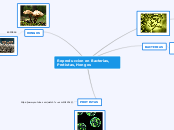 Reproduccion en Bacteria, Protistas, Hongos