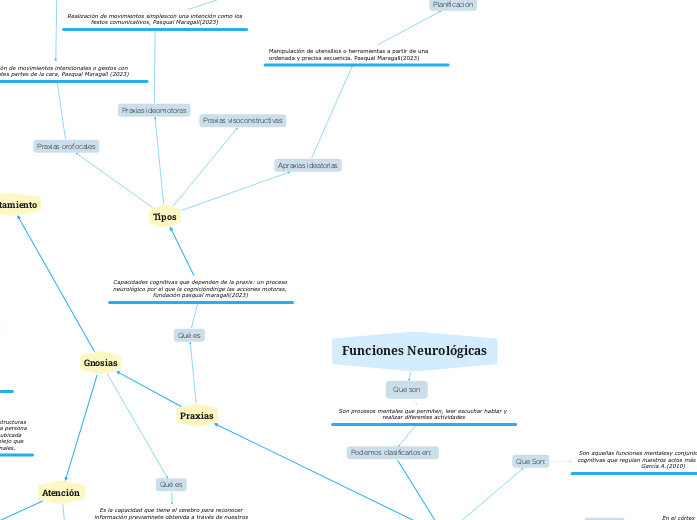 Funciones Neurológicas