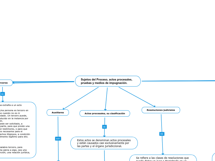 Sujetos del Proceso, actos procesales, pruebas y medios de impugnación.