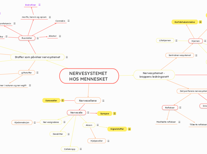 NERVESYSTEMETHOS MENNESKET copy