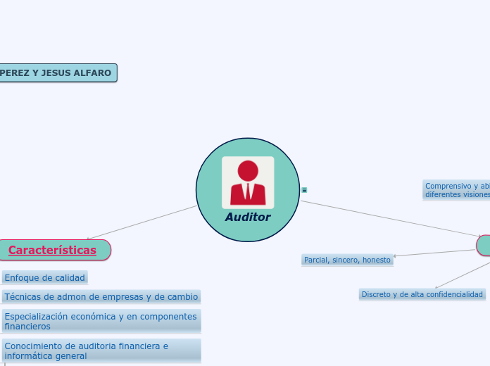 Auditor