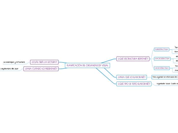 PLANIFICACIÓN DEL ORGANIZADOR VISUAL