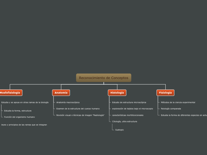 Organigrama arbol