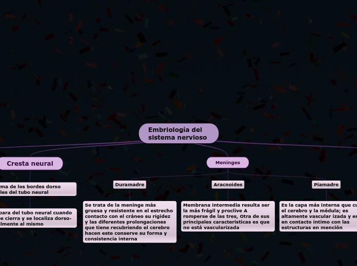 Embriología del sistema nervioso