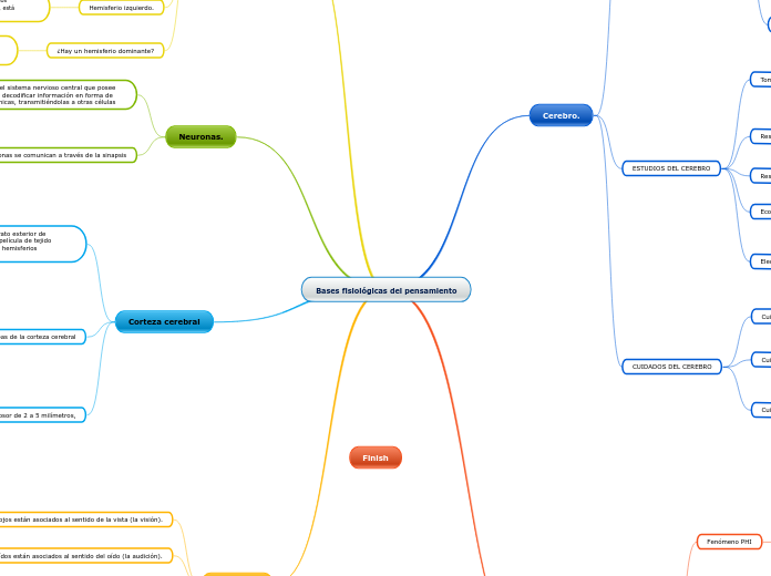 Bases fisiológicas del pensamiento